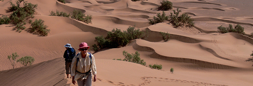 Oasis et dunes du Draa