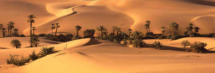 Sahara Marocain