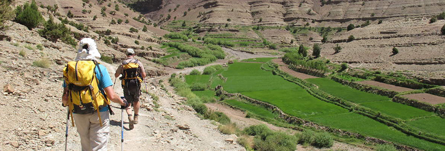 Les oasis du Saghro